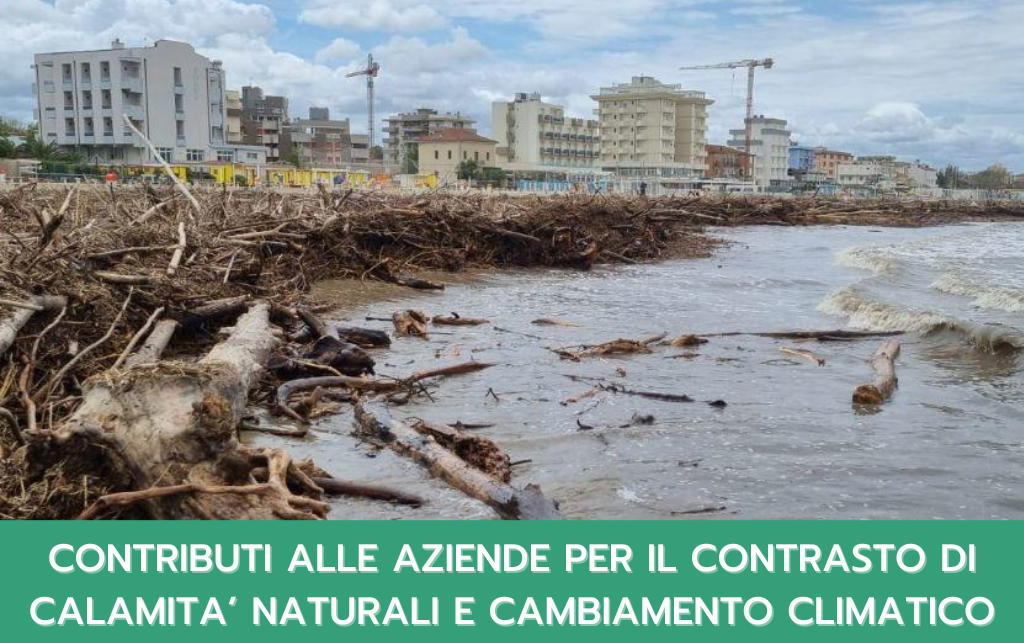 Al momento stai visualizzando BANDO PREVENZIONE EVENTI CLIMATICI ANNO 2024