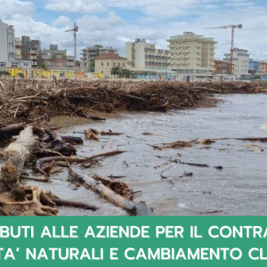 BANDO PREVENZIONE EVENTI CLIMATICI ANNO 2024