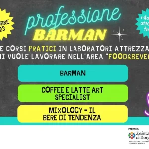 PROFESSIONE BARMAN!